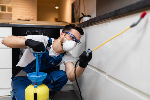 Best Affordable Pest Control Services  in Onancock, VA