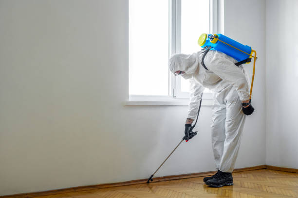 Best Cockroach Control Services  in Onancock, VA