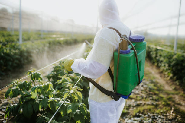 Best Bed Bug Extermination  in Onancock, VA
